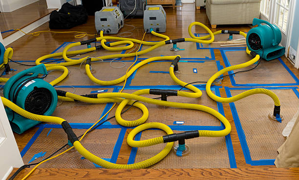 Professional Structural Drying And Dehumidification technician working in Rochester, WI